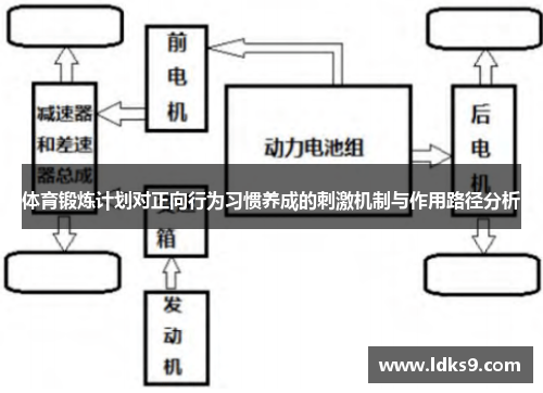 体育锻炼计划对正向行为习惯养成的刺激机制与作用路径分析